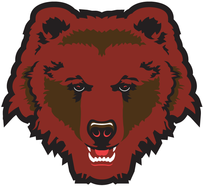 Brown Bears 1997-Pres Partial Logo diy fabric transfer